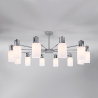 Потолочная люстра со стеклянными плафонами 70160/12 хром (Eurosvet, a057112)